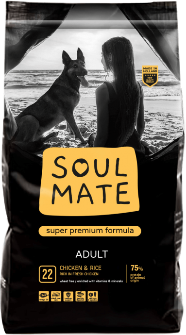 מזון יבש לכלבים בוגרים