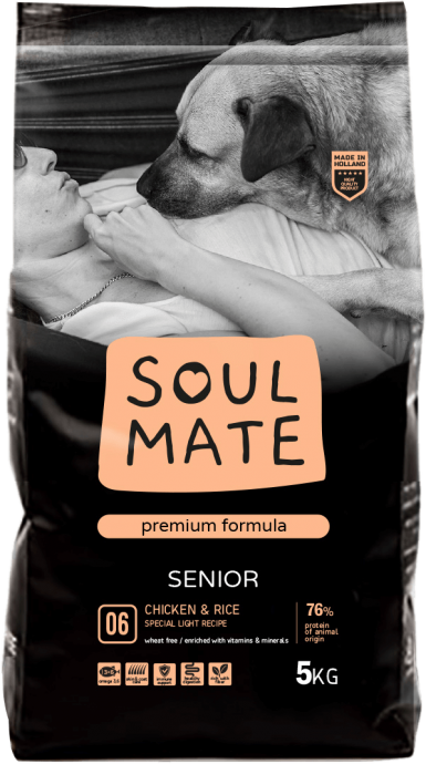 מזון לכלבים מבוגרים