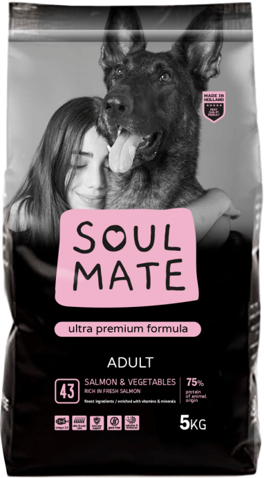 מזון יבש לכלבים – עשיר בסלמון טרי ללא דגנים