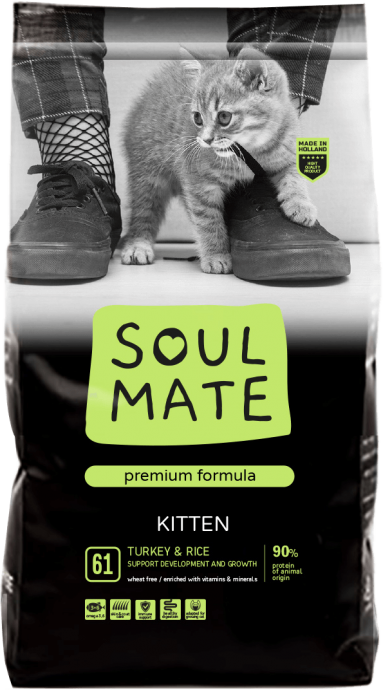 אוכל לגור חתולים