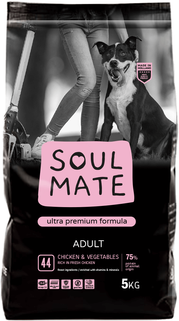 אוכל לכלבים ללא דגנים