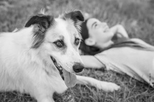 חמישה מיתוסים על כלבים שכדאי לשכוח מהם