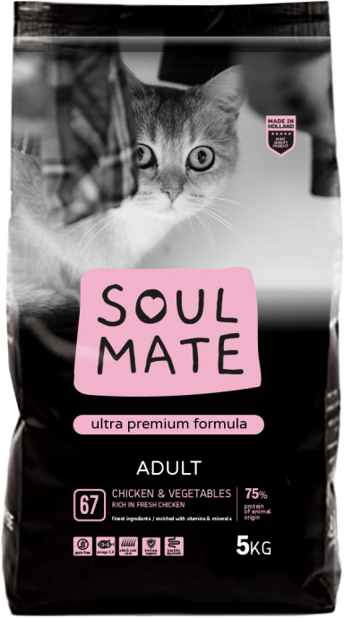 אוכל לחתולים בוגרים