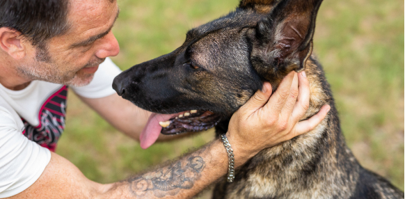 סולמייט מחזירים אהבה