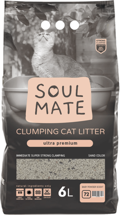 חול מתגבש לחתול