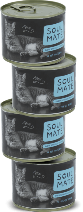 פחית מזון רטוב לחתולים – פטה עוף וכבש