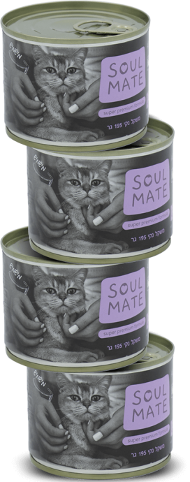 פחית מזון רטוב לחתולים – פטה סלמון ופורל