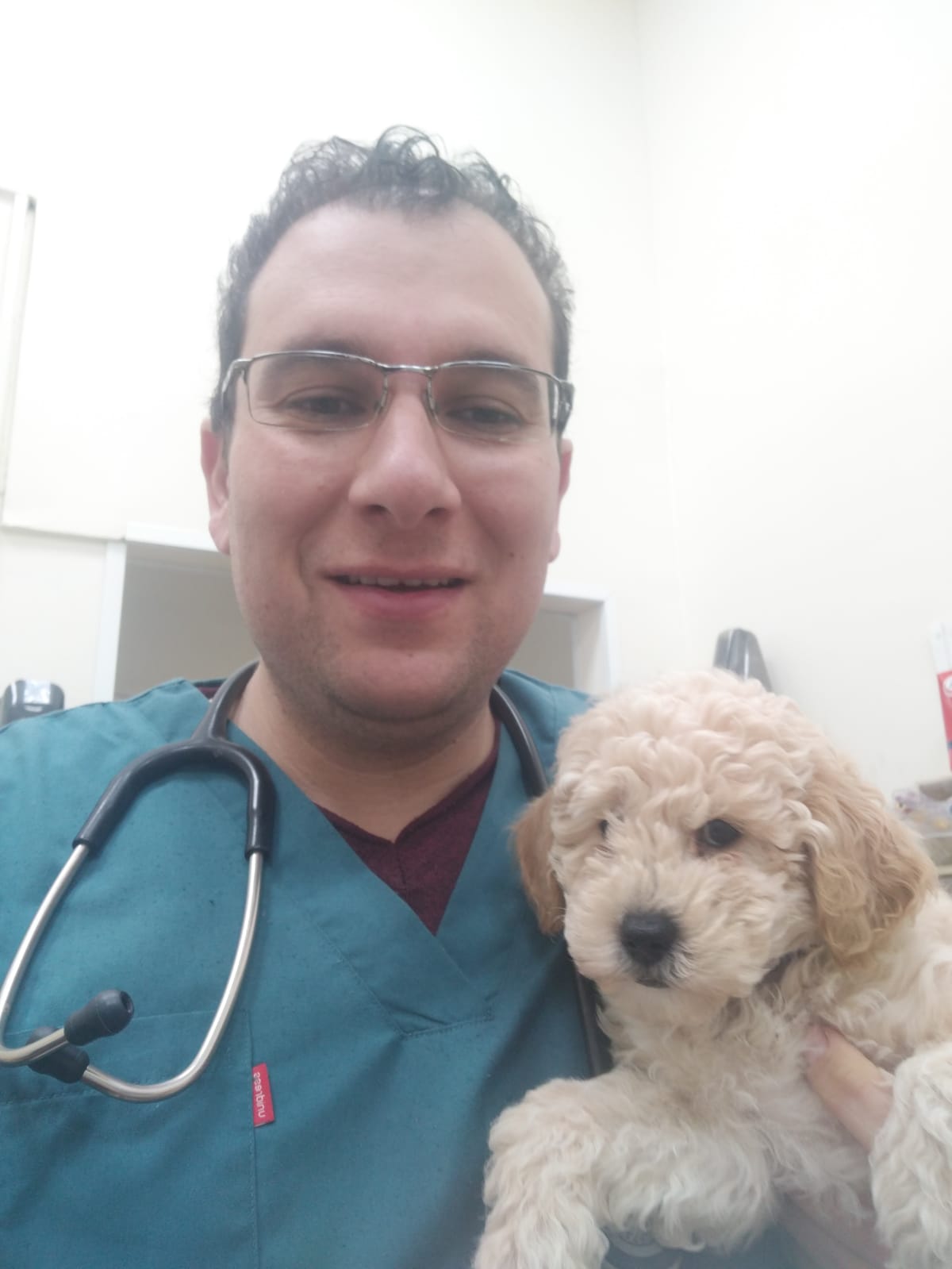 ד''ר וסים ג'ראיסי - רופא וטרינר