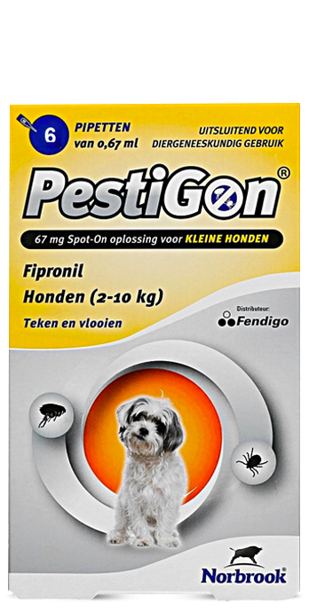 פסטיגון לכלבים מגזע קטן