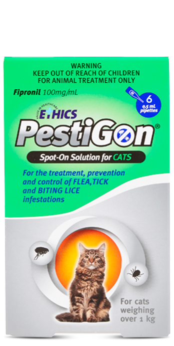 פסטיגון לחתולים