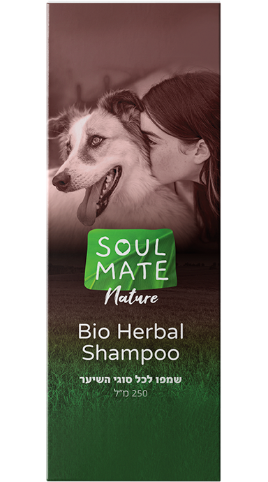 שמפו צמחי מרפא