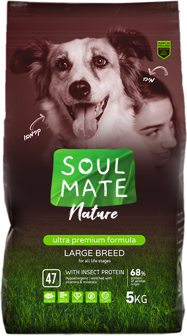 מזון על יבש לכלבים בגודל בינוני וגדול- ללא דגנים עשיר בחלבון חרקים