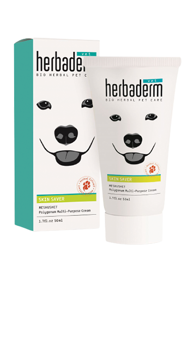 HERBADERM – משחה הרבדרם משושת