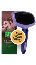 מברשת סירוק + שמפו