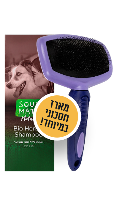 מברשת סירוק + שמפו