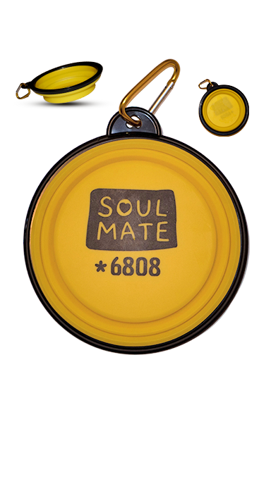 קערה מתקפלת לטיולים