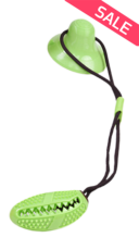 צעצוע פומפה דנטלי