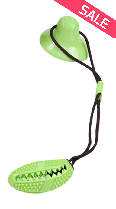 צעצוע פומפה דנטלי