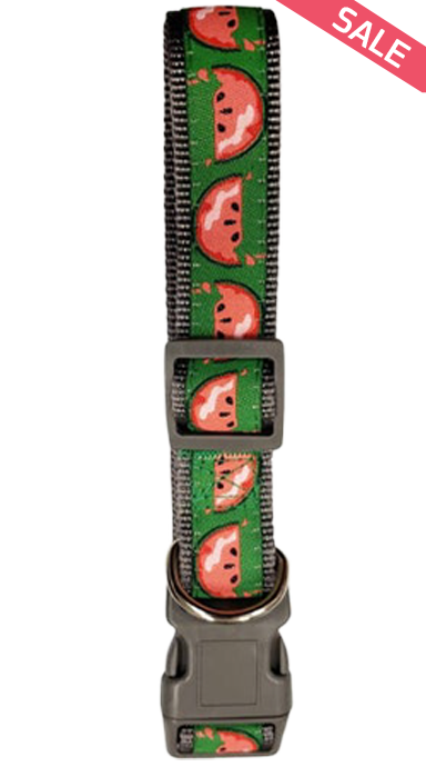 קולר לכלב בעיצוב אבטיח מתוק