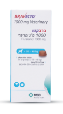 עגלה