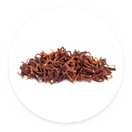 עלי ציפורן חתול