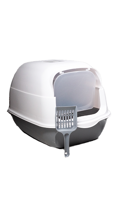 ארגז חול לחתולים