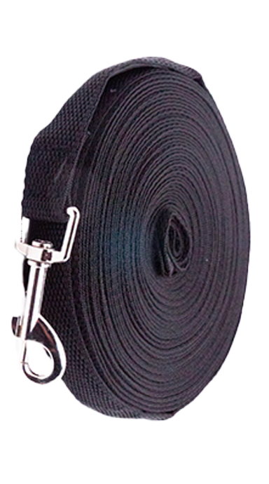 רצועת אילוף