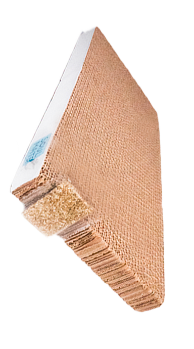 קרטון גירוד עם קטניפ לחתולים