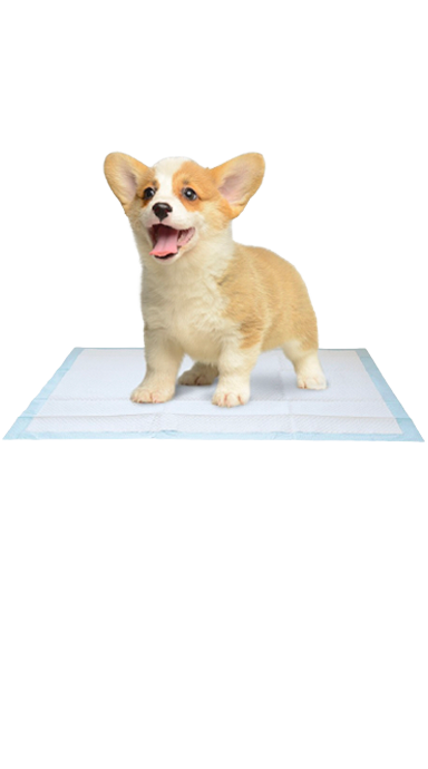 חבילת פדים לחינוך צרכים