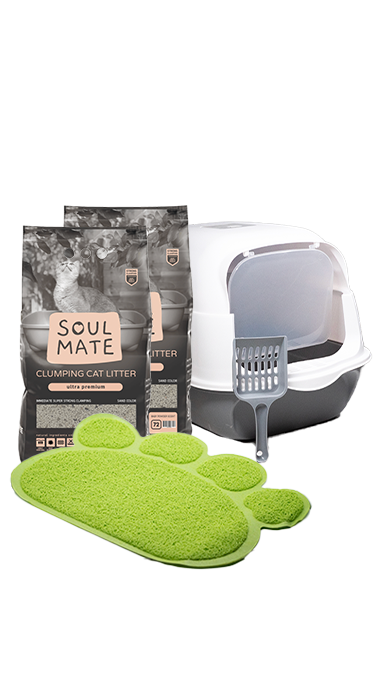 מארז פינוי צרכים לחתול