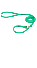 Soulmate Pro –  רצועת אילוף טורקיז עם קולר חנק מובנה – ביאוטן