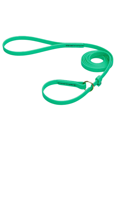 Soulmate Pro –  רצועת אילוף טורקיז עם קולר חנק מובנה – ביאוטן