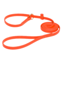 Soulmate Pro –  רצועת אילוף כתומה זוהרת עם קולר חנק מובנה – ביאוטן