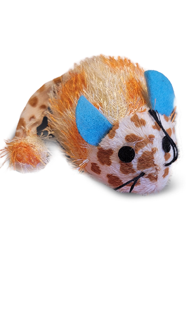 עכבר רוטט לחתולים