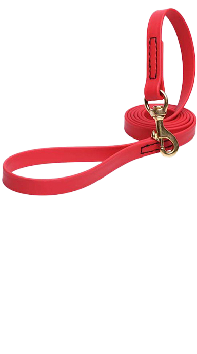 Soulmate Pro –  רצועה איכותית מביאוטן